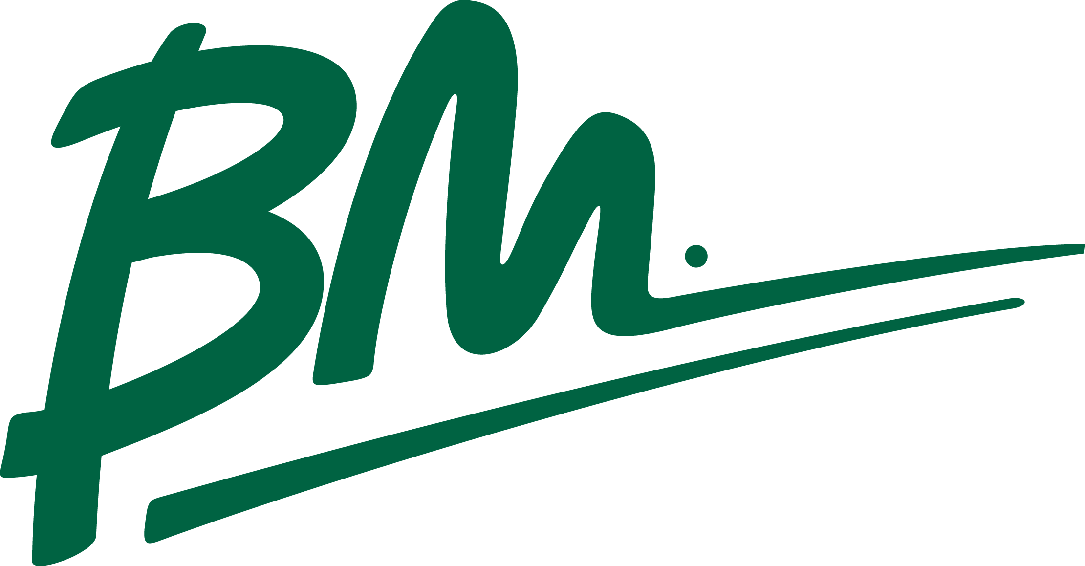 bm_logo.png