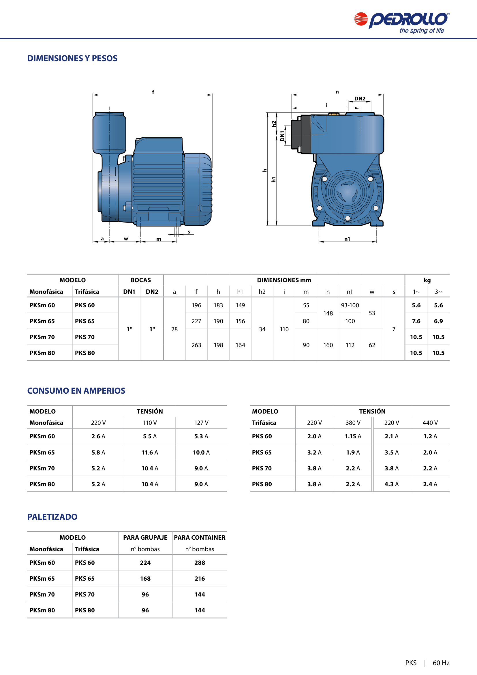 Bomba de Agua Pedrollo PKSm60 0.5 HP Monofásica 110V